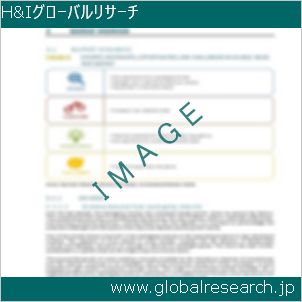グローバルリサーチ調査レポートのイメージ